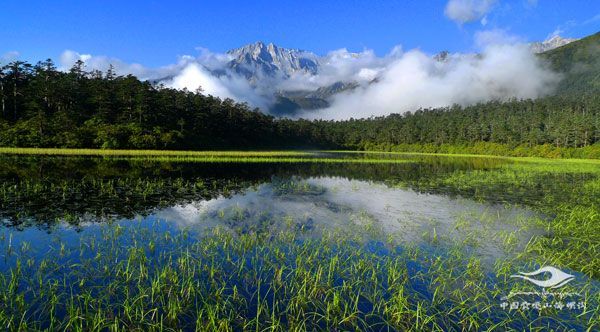 /hlg-cms/ueditor/download?id=869020430739095552