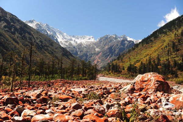 /hlg-cms/ueditor/download?id=869020570484916224